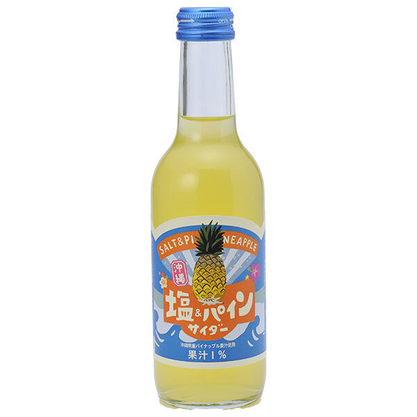 友桝飲料 塩&パインサイダー 245ml瓶×24本入