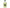 Tomomasu Drinks Muskmelon Cider 300ml bottle x 24 bottles 