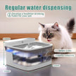Pet Cat Dog Water Dispenser