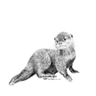 Baby Otter  Magnet