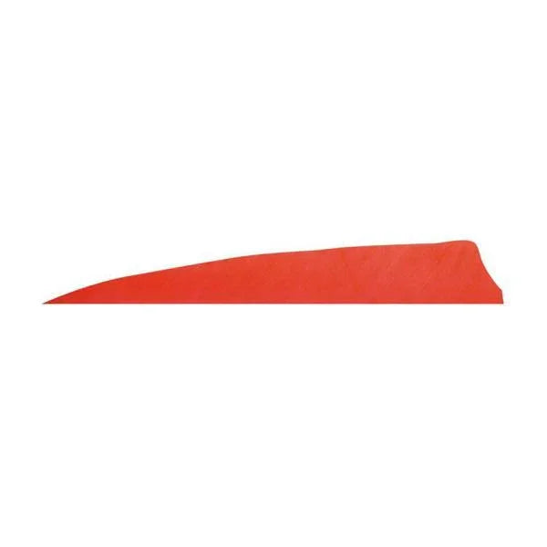 Badass Archery Right-Wing Shield Feathers - 36 Pack