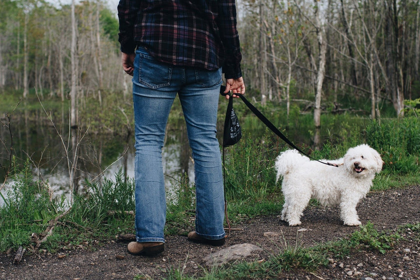 Bags - Compostable Dog Waste