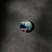Balsam Lake Provincial Park of Ontario Pinback Button, Canada Parks
