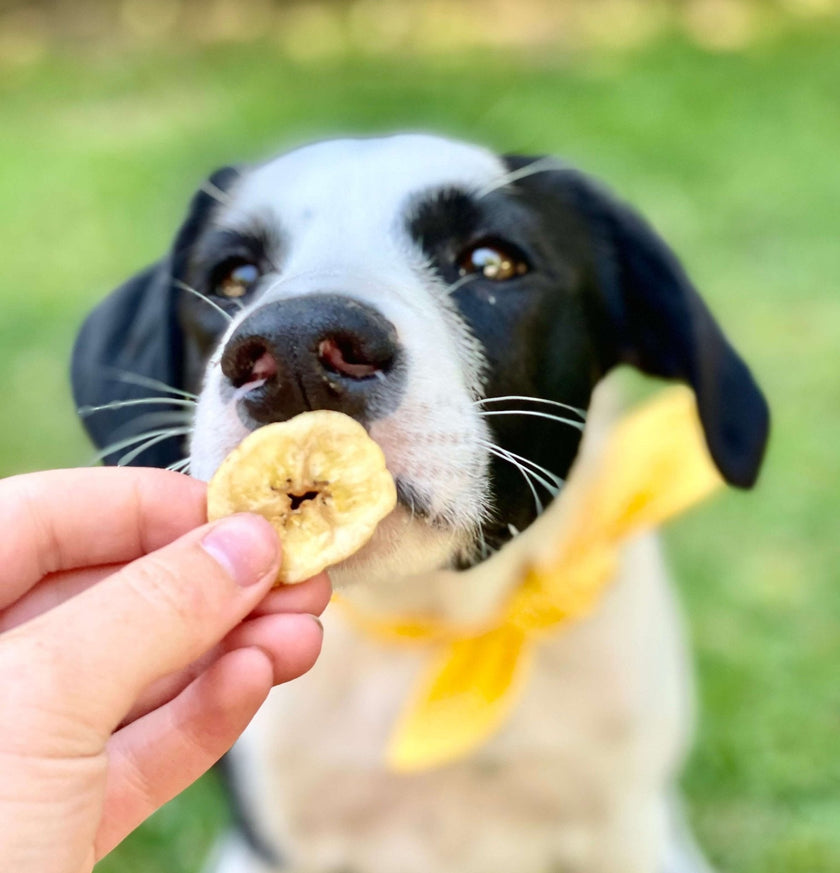 Banana Chips