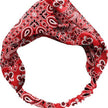 Bandana Print Headband