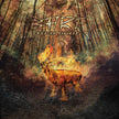 B.A.R.F. / Région Sauvage - CD