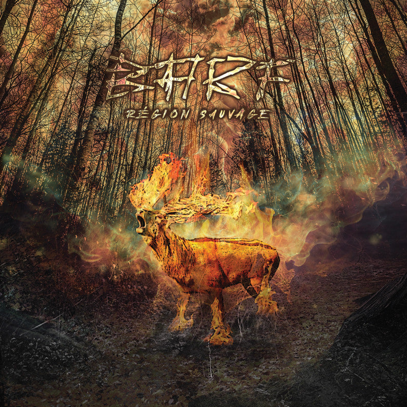 B.A.R.F. / Région Sauvage - CD