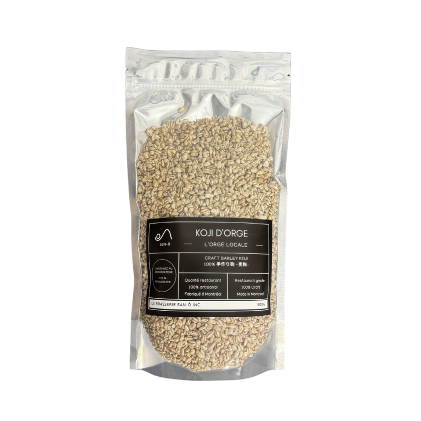 Barley Koji / Koji d'orge
