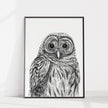 Barred Owl - Paper art Print