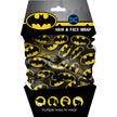 Batman Youth Hair & Face Wrap