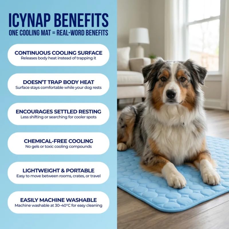 Pet Ice Silk Cooling Mat for Dogs & Cats – Breathable, Anti-Slip Summer Pad
