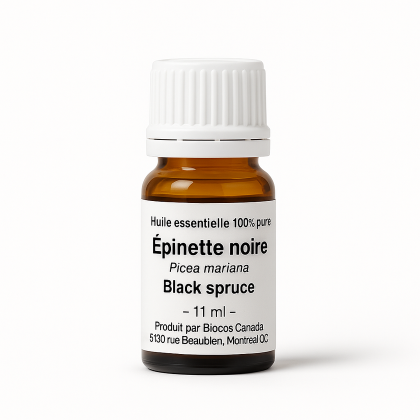 Épinette noire