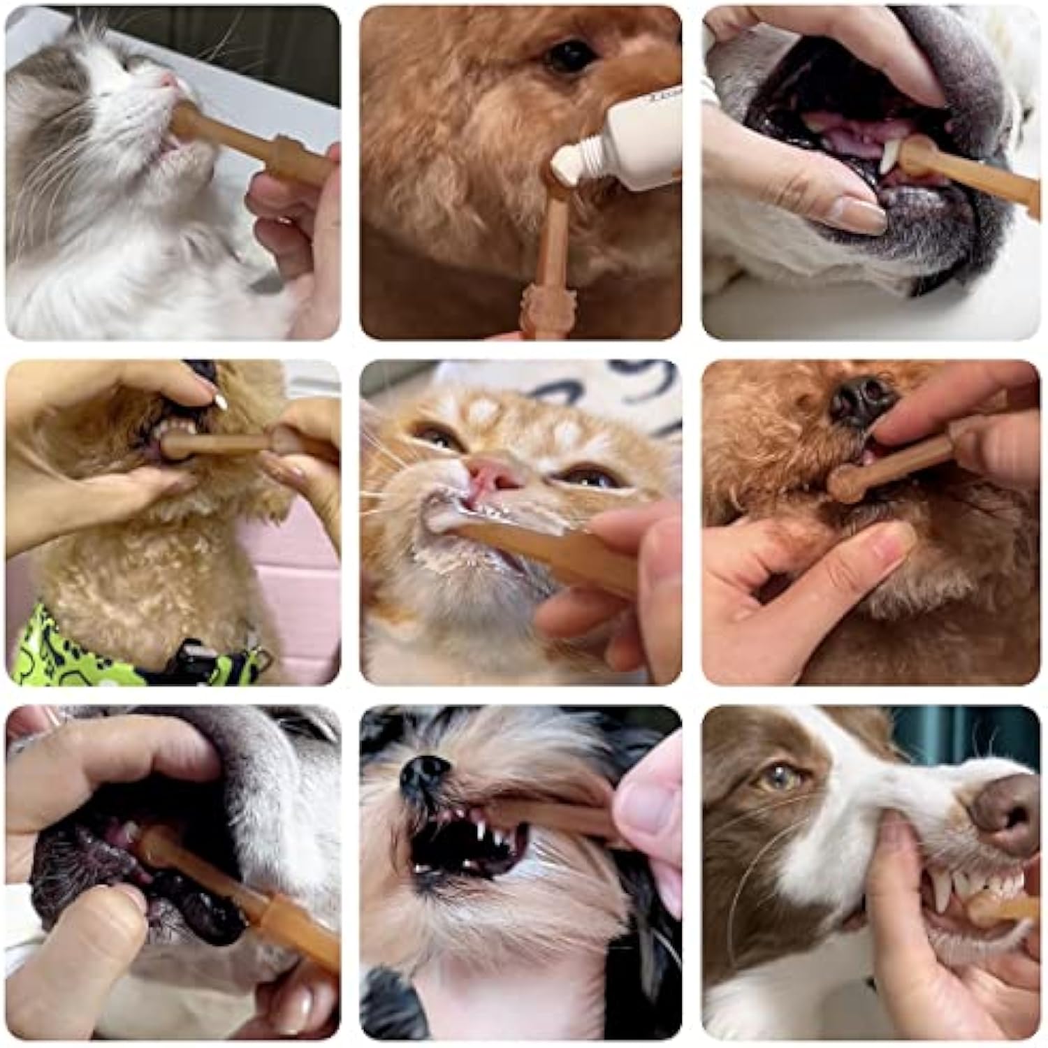 Silicone Pet Toothbrush Set – Double-Sided Dog & Cat Toothbrush with Tongue Cleaner