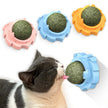 Lion Catnip Molar Cat Toy with Catnip Flavors | EX-STOCK Canada