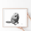 Baby Beaver - wildlife art print