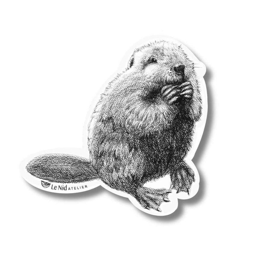 Beaver Magnet