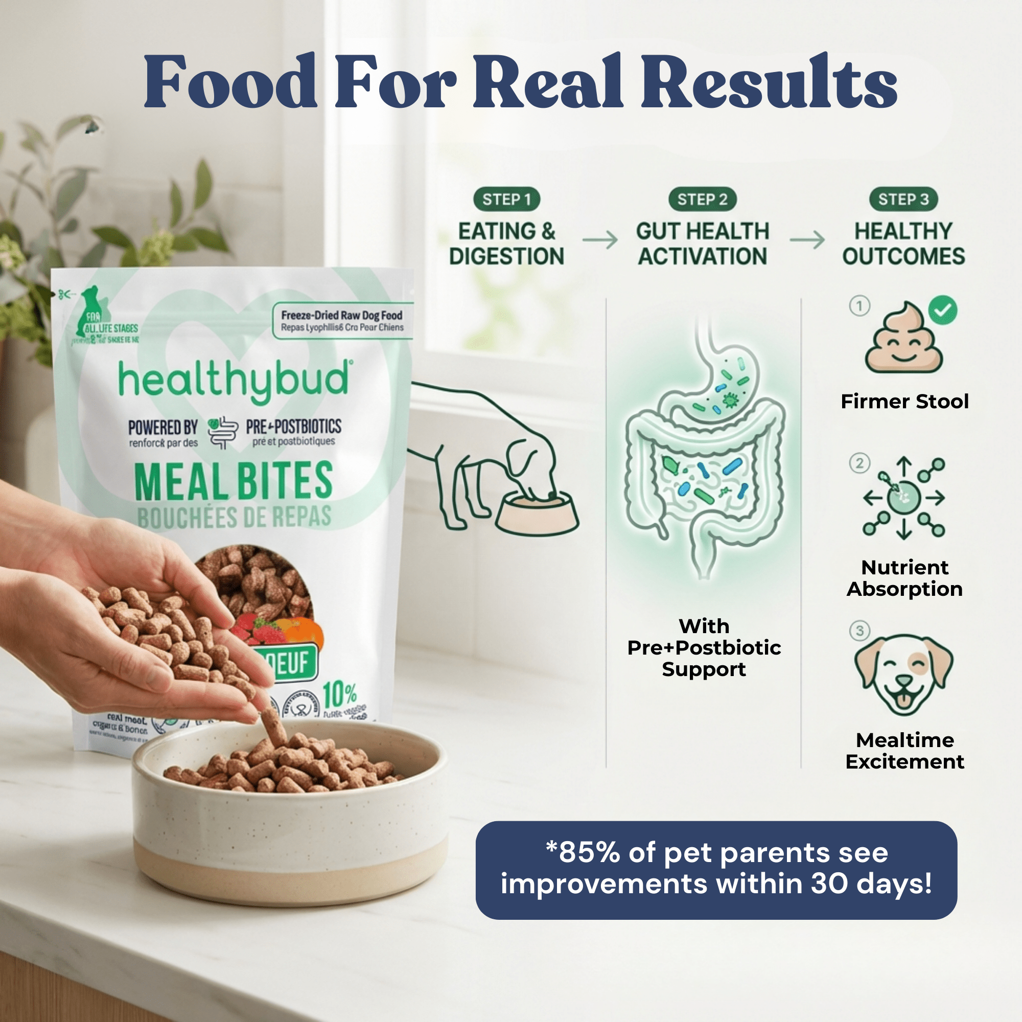 Beef Meal Bites