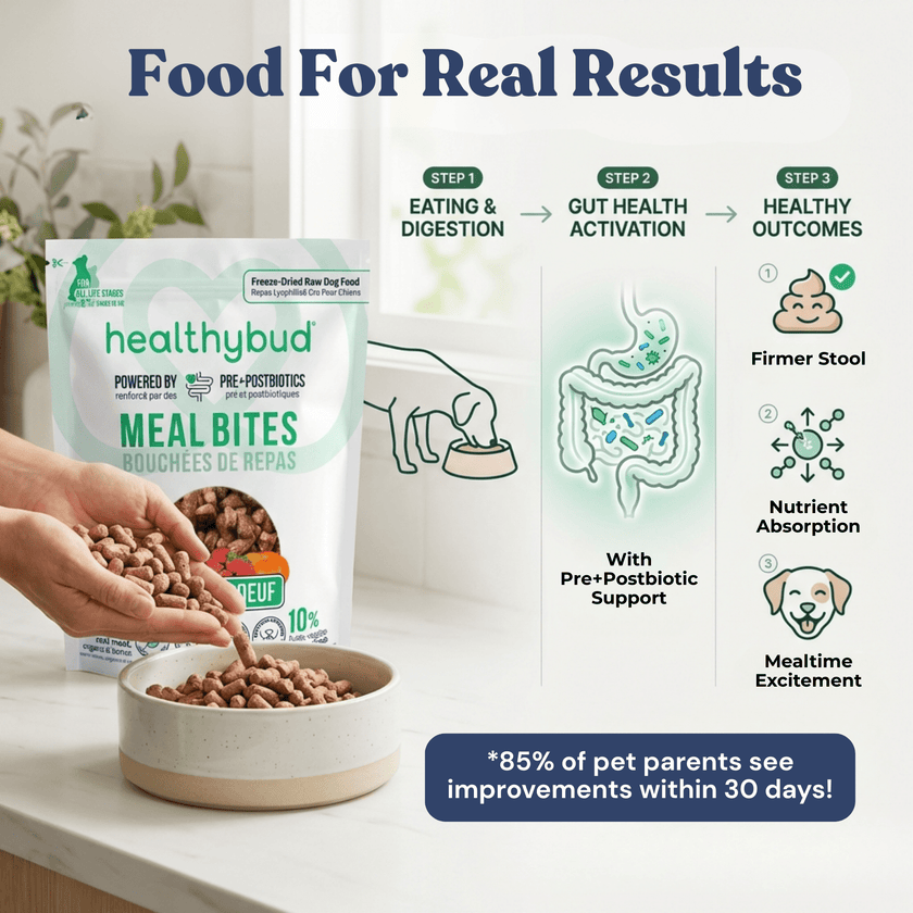 Beef Meal Bites