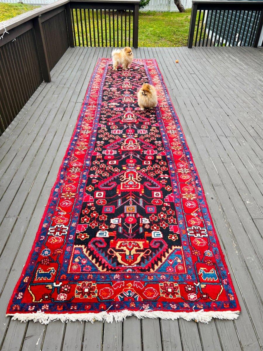 Persian Nahavand Runner Rug | 4' x 17' 3
