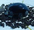 Beluga Caviar