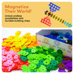 PicassoTiles - PicassoTiles 600pc Building Interlocking Chips