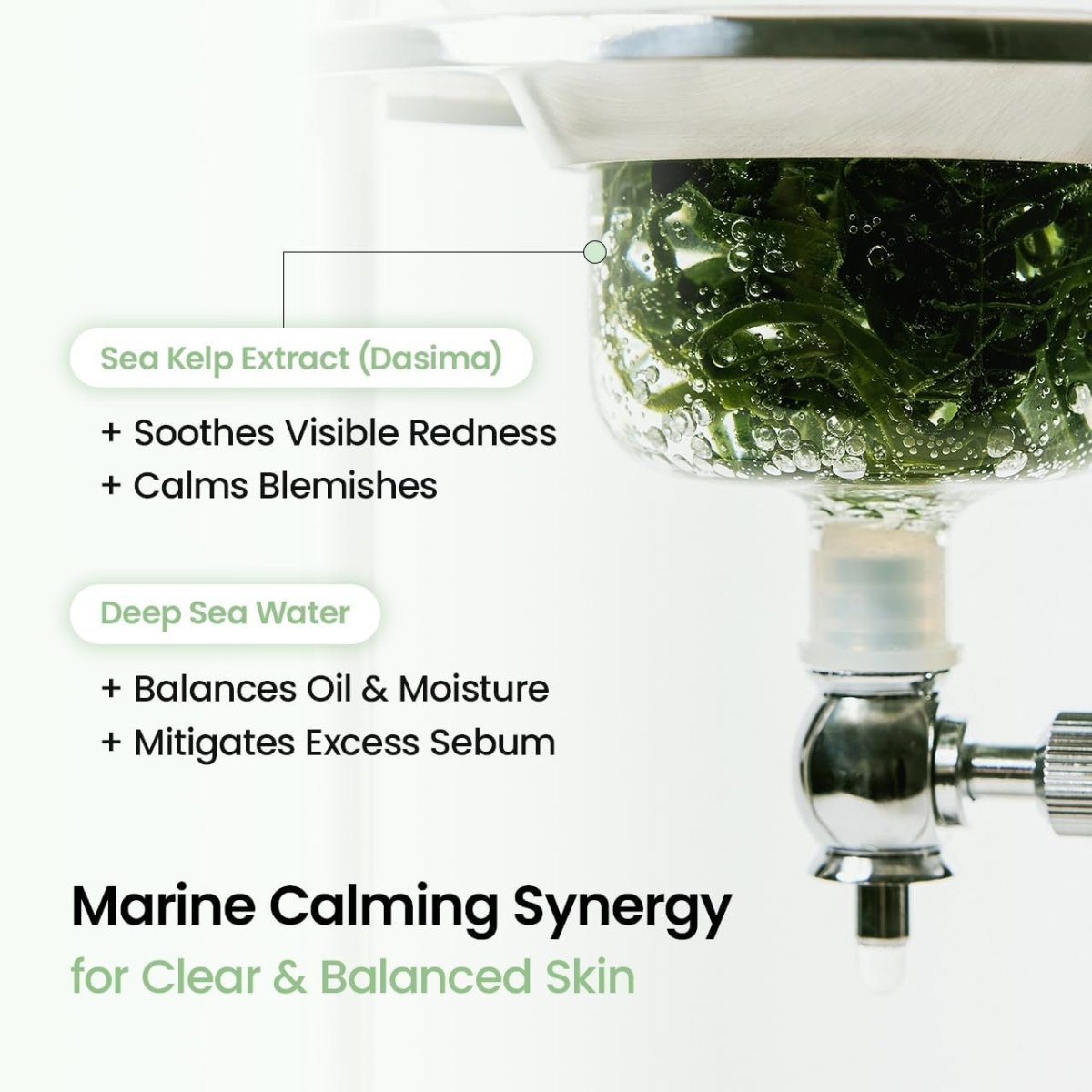Biodance Refreshing Sea Kelp Real Deep Mask 34g