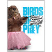 Birds of Prey - Beaver in Tutu Magnet