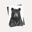 Black Bear - greeting card