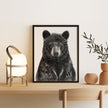 Black Bear Portrait  - Rigid Framed Canvas