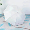 Black Gum Sunscreen Anti Ultraviolet Umbrella Advertising Umbrella Daisy Umbrella Umbrella Girl