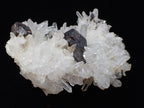 Black Pyrite with Quartz Cluster – Fengjiashan Mine, China