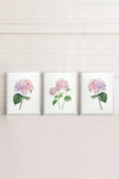 BLOSSOMING TRIO (3 Oeuvres sur toile étirée)