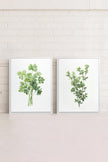 DUO FINES HERBES (2 Oeuvres sur toile étirée)