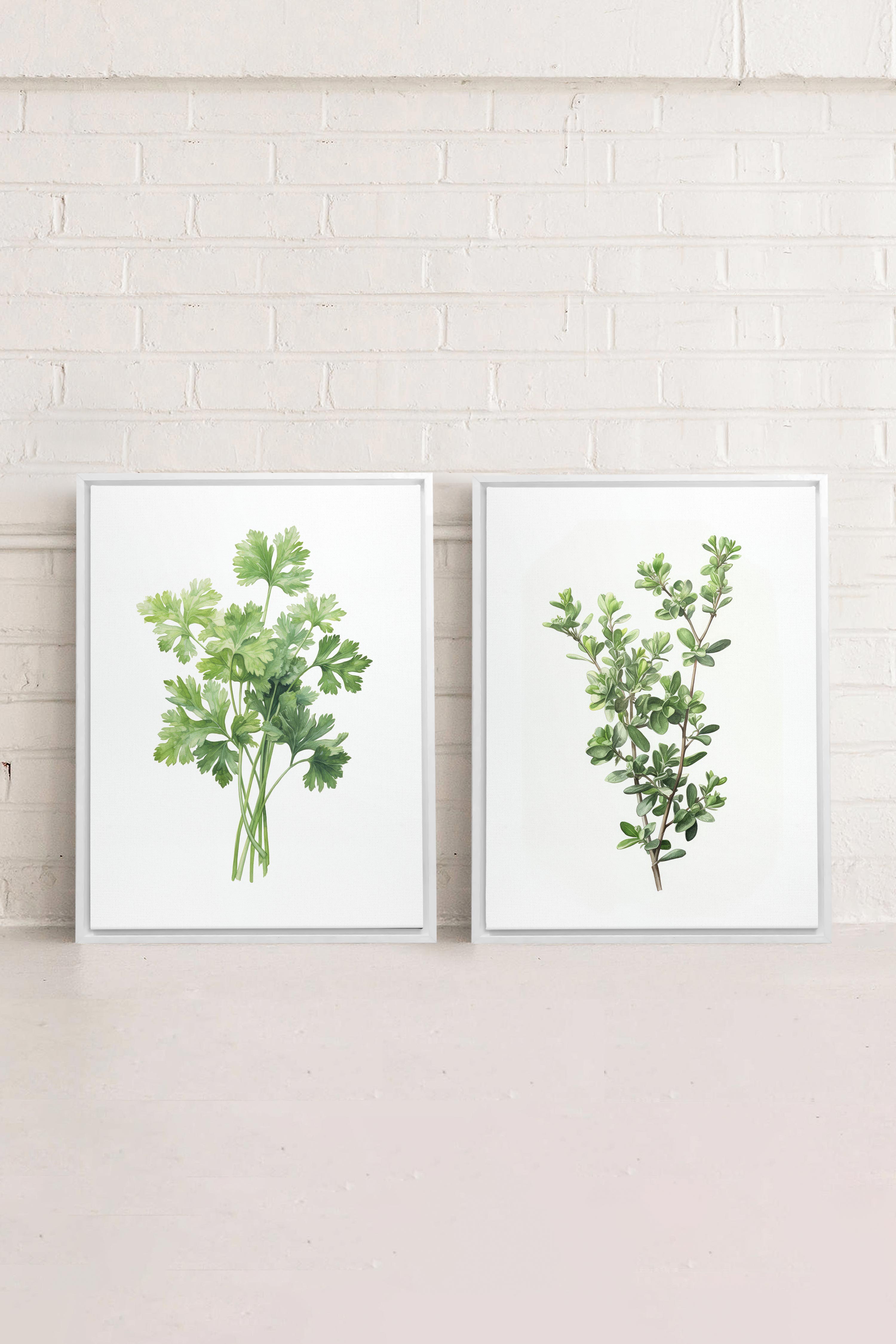 DUO FINES HERBES (2 Oeuvres sur toile étirée)