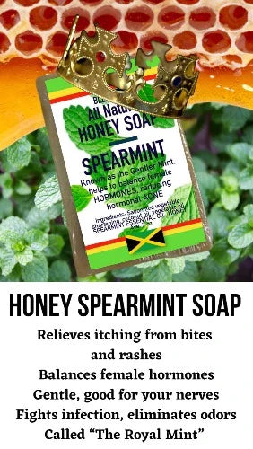 ALL NATURAL HONEY ROYAL SPEARMINT FACE & BODY BAR