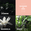 Blossoms At Dusk Wax Melt | Jasmine + Magnolia