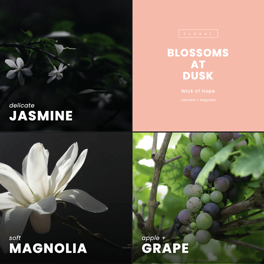 Blossoms At Dusk Wax Melt | Jasmine + Magnolia