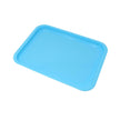 Instrument Tray - Plastic - 1/pk