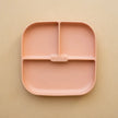 Silicone Suction Plate