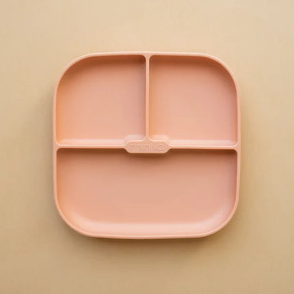 Silicone Suction Plate