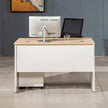 BLV01 Office Desk