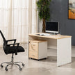 BLV01 Office Desk