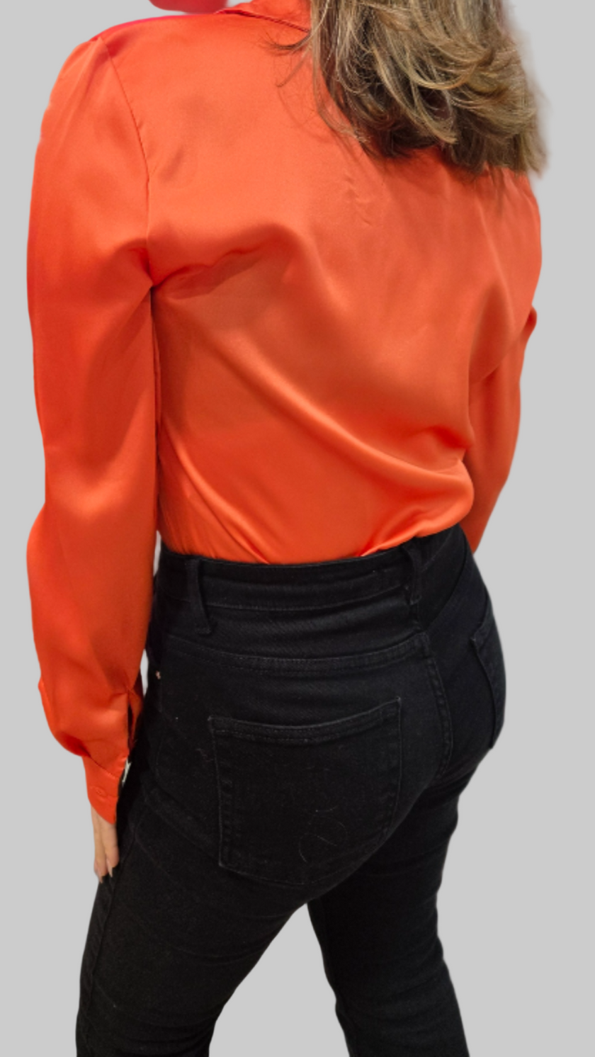 Body Suit Shirt