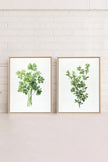 DUO FINES HERBES (2 Oeuvres sur toile étirée)