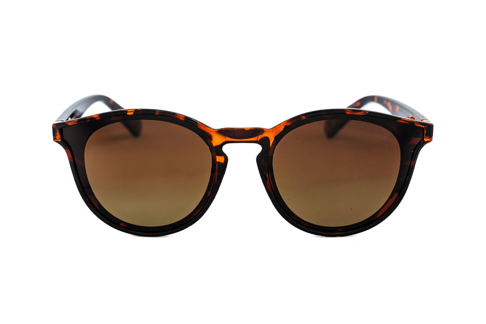 Maribel – Round Pantos Sunglasses | Bolero Eyewear