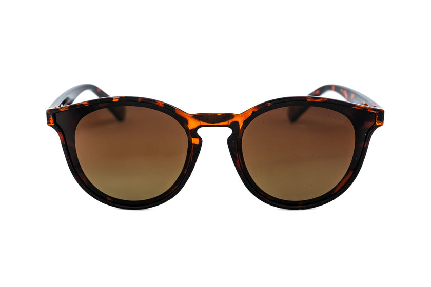 Maribel – Round Pantos Sunglasses | Bolero Eyewear