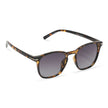 Savarin – Polarized Square Sunglasses | Bolero Eyewear