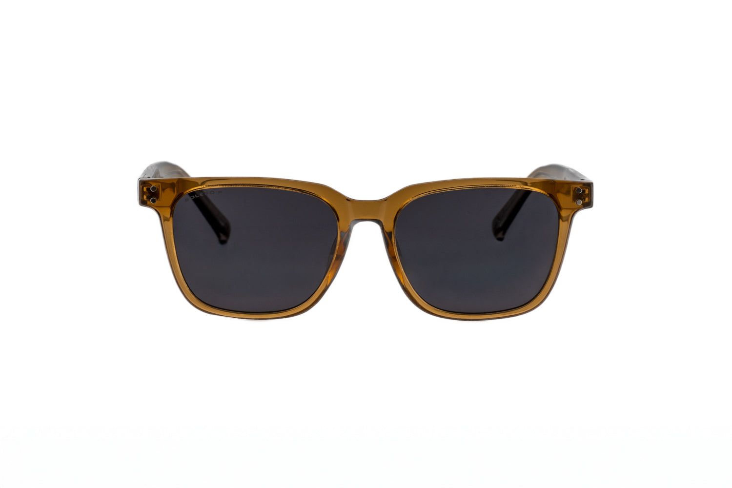 Vale – Classic Wayfarer Sunglasses | Bolero Eyewear