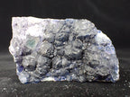 Botryoidal Blueberry Fluorite with Zoning – Huanggang Mine, Inner Mongolia 3 x 2 inches 202 grams