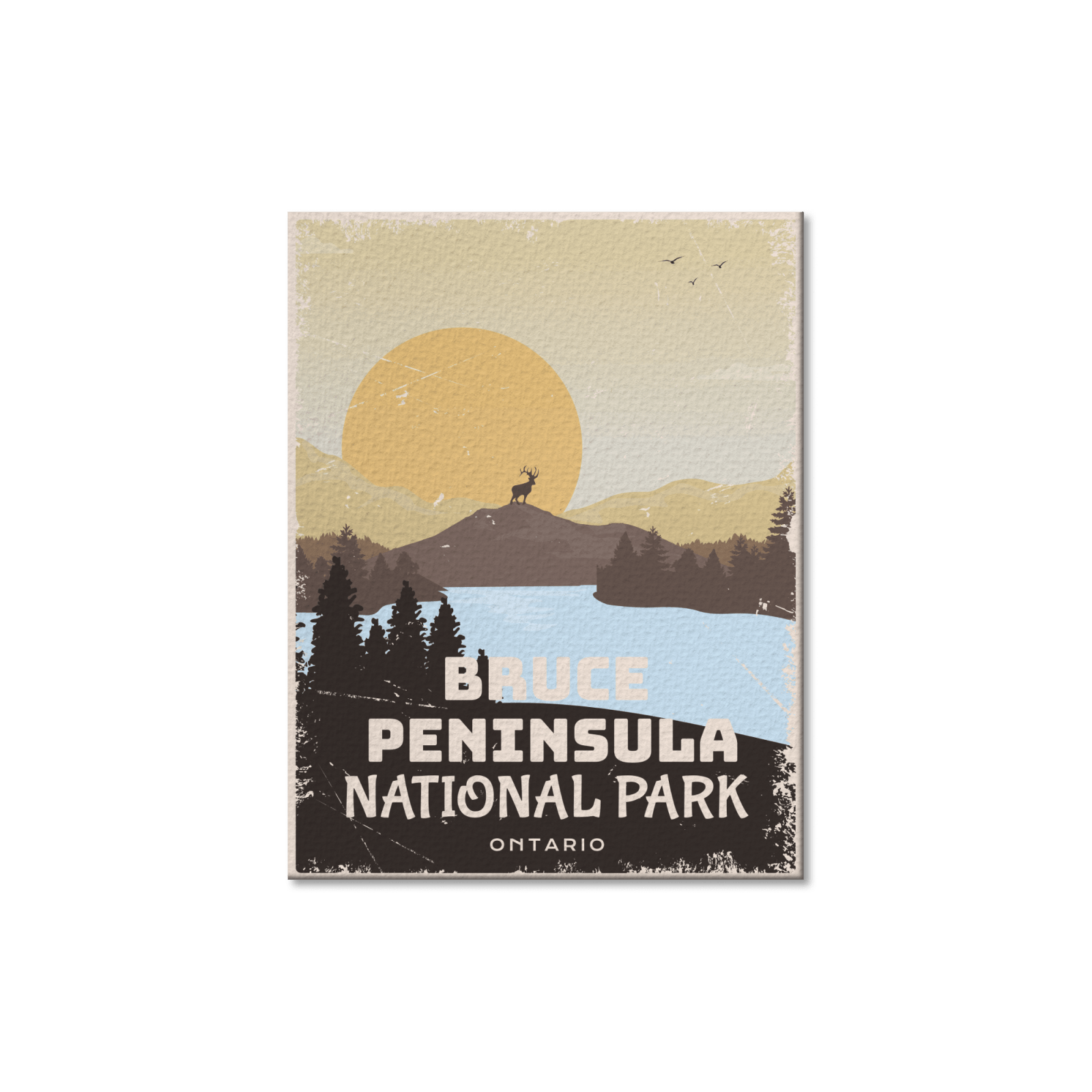 Bruce  Peninsula National Park of Canada Postcard, Canada Parks